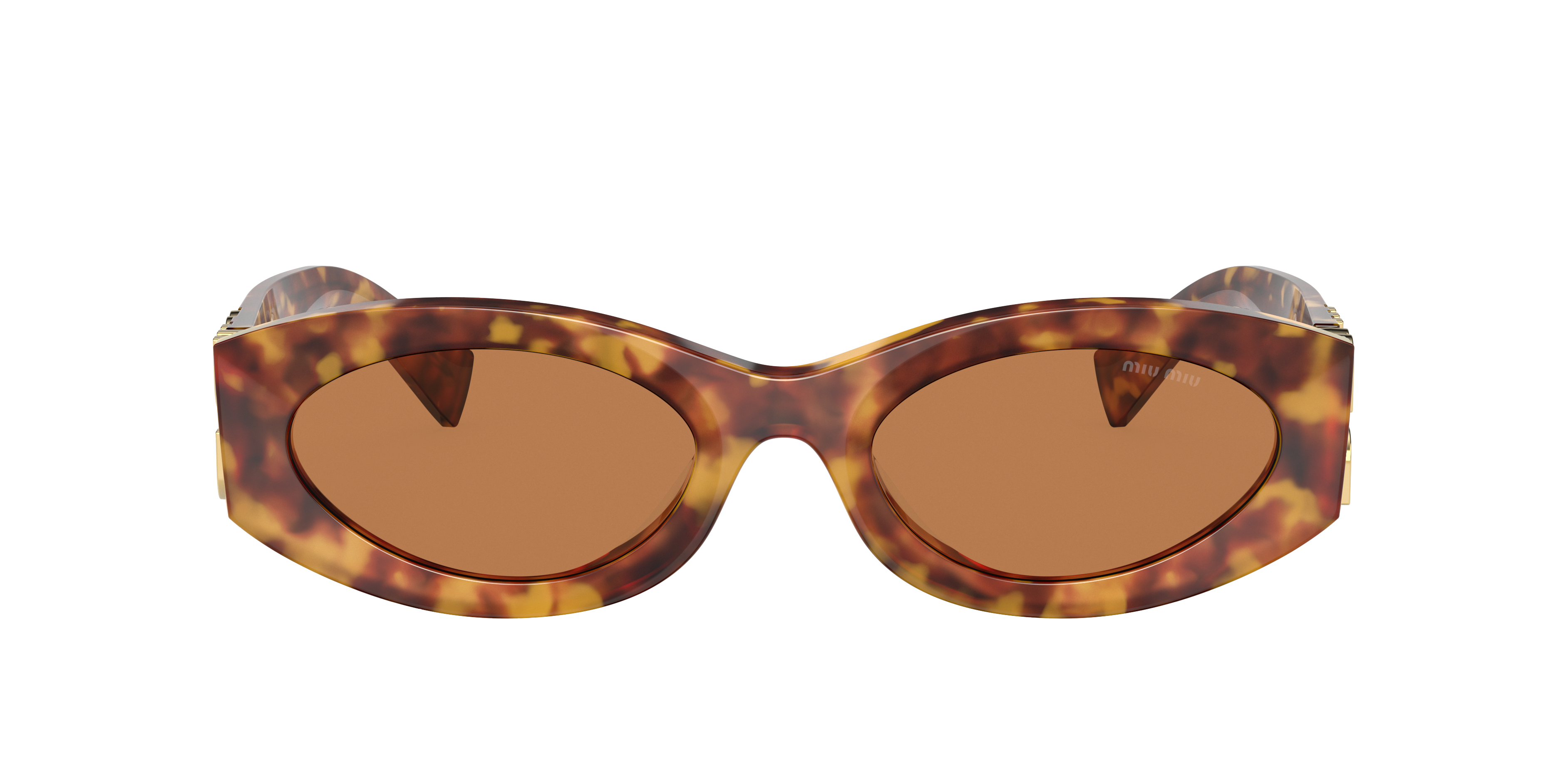 Miu Miu MU 11WS XL (54 - 21) with Brown lenses and Tortoise frame