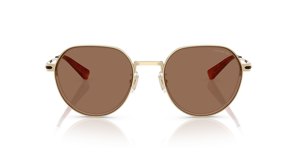 Coach HC7179 CAE81 L (52 - 21) with Brown lenses and Gold  display picture 3