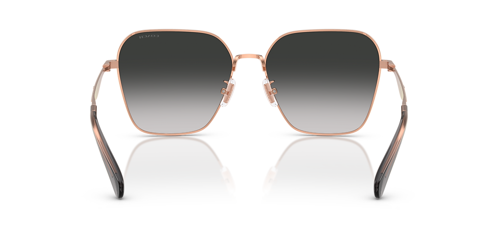 Coach CW189 XL (58 - 16) with Grey lenses and Gold frame