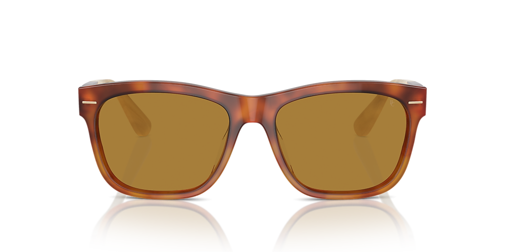 Brunello Cucinelli BC4003S M (55 - 17) with Brown lenses and