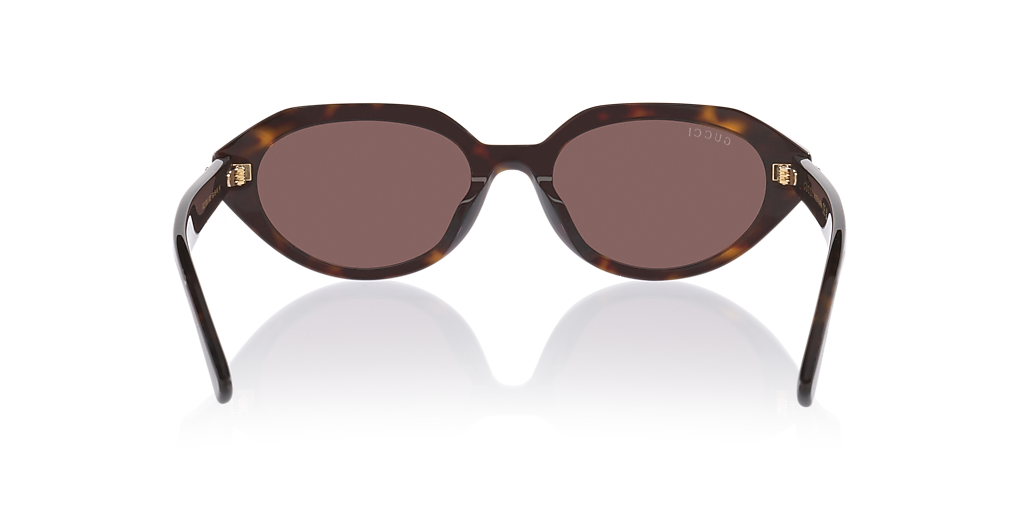 Gucci GG2178S S (53 - 18) with Brown lenses and Tortoise frame