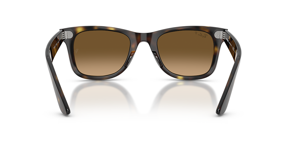 Ray-Ban Wayfarer Ease M (50 - 22) with Brown lenses and Tortoise