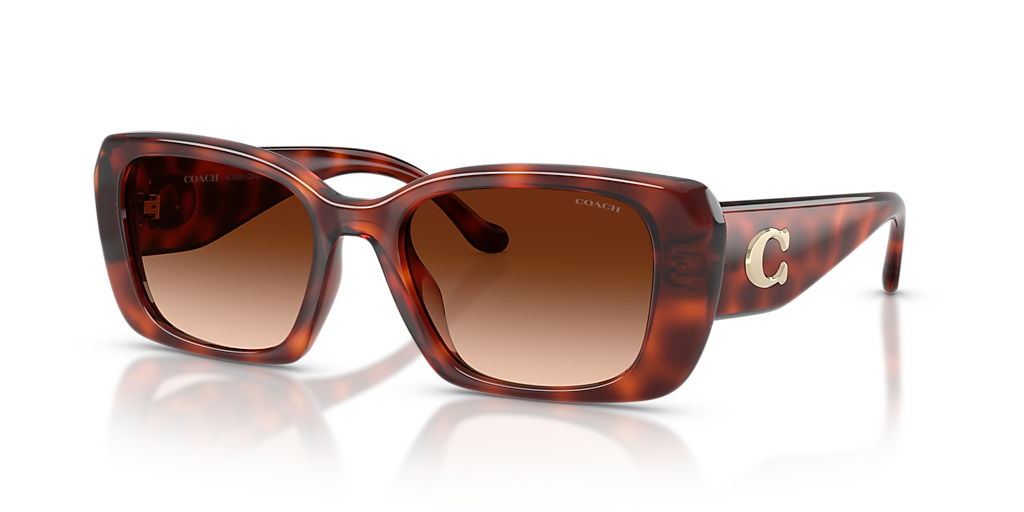Coach CBY82 M (54 - 19) with Brown lenses and Tortoise frame