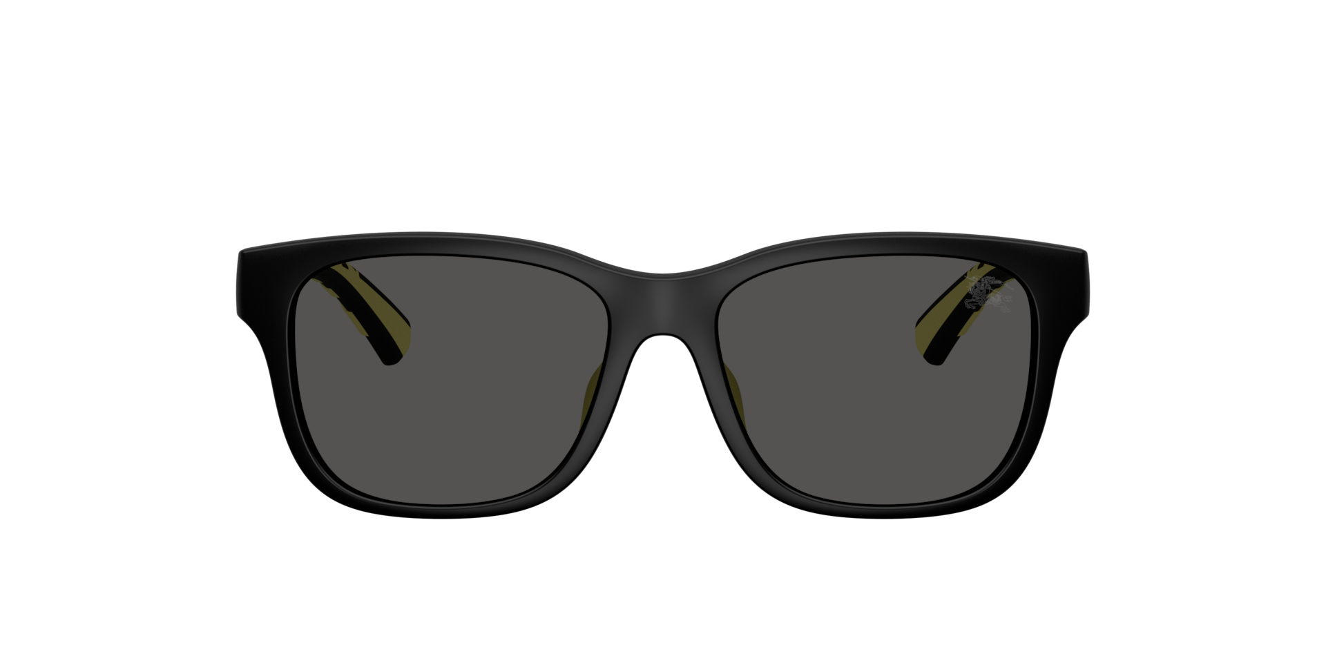 Burberry JB4007U