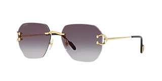 Cartier CT0466S L (58 - 16) with Grey lenses and Gold frame