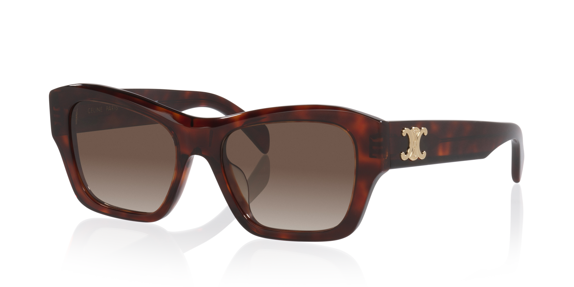 Celine Triomphe CL40330U S (54 - 18) with Brown lenses and