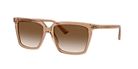 Jimmy Choo JC5051 M (55 - 17) with Brown lenses and Brown frame