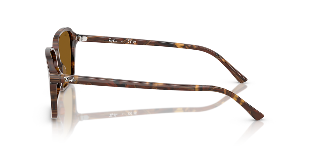 Ray-Ban Raimond L (56 - 18) with Brown lenses and Multicolor frame