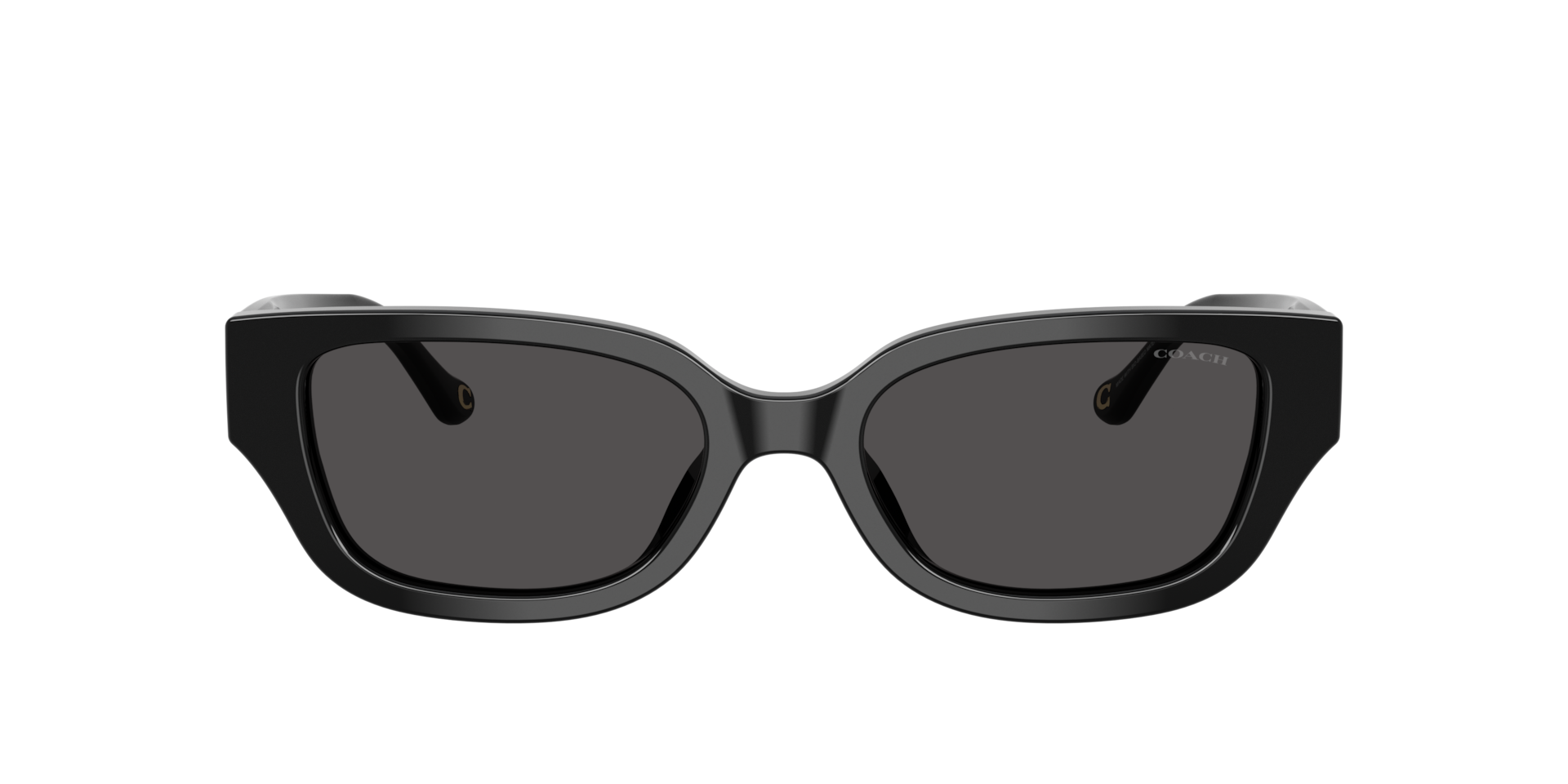 Coach CBZ52 M (53 - 19) with Grey lenses and Black frame