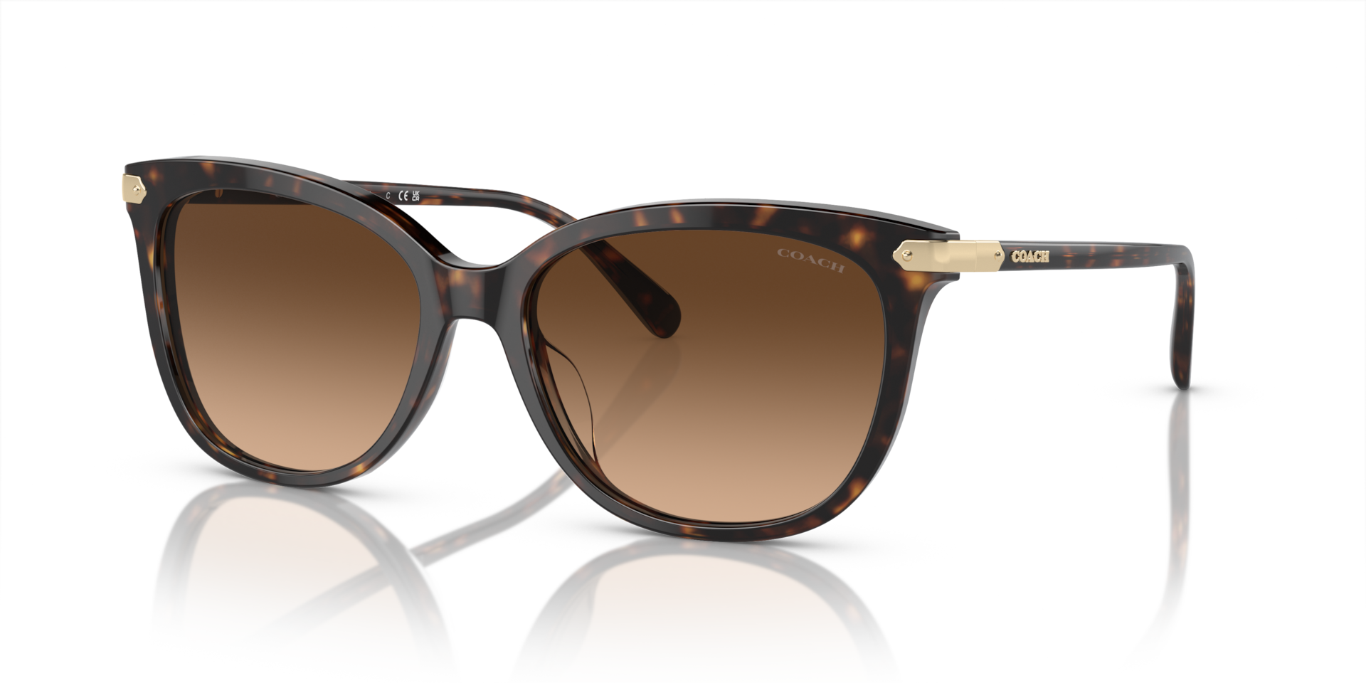 Coach CL926 XXL (57 - 17) with Brown lenses and Tortoise frame
