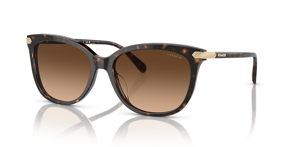 Coach CL926 XXL (57 - 17) with Brown lenses and Tortoise frame