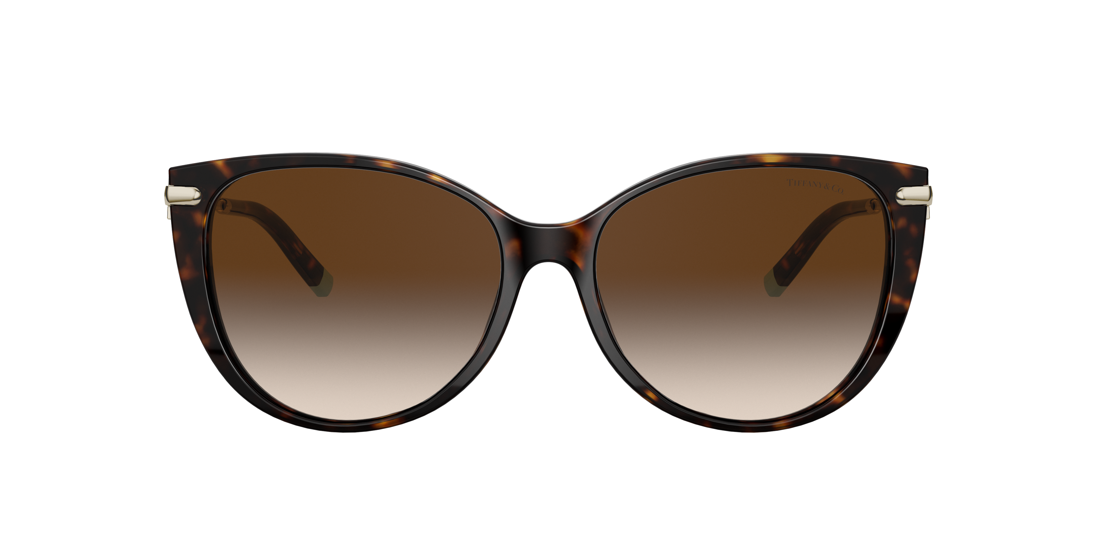 Tiffany & Co. TF4178 XL (57 - 16) with Brown lenses and Tortoise