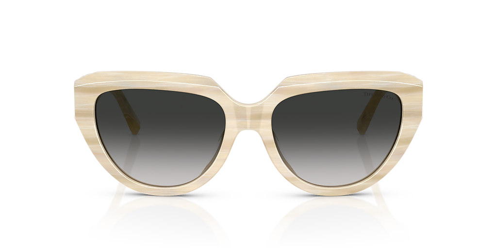 Tiffany ティファニー TIFFANY Tiffany & Co. TF4238U L (55 - 17) with Grey lenses and Beige frame