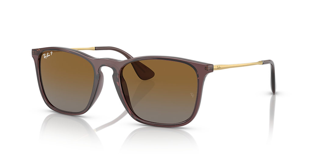 Ray-Ban Chris M (54 - 18) with Brown lenses and Brown frame