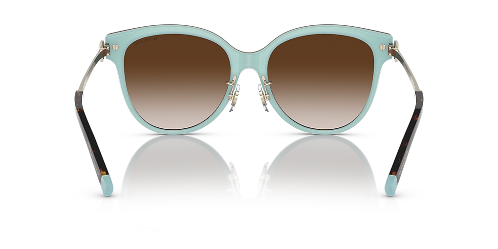 Tiffany & Co. TF4193BF XL (55 - 17) with Brown lenses and Brown