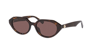 Gucci GG1815S L (58 - 15) with Violet lenses and Tortoise frame