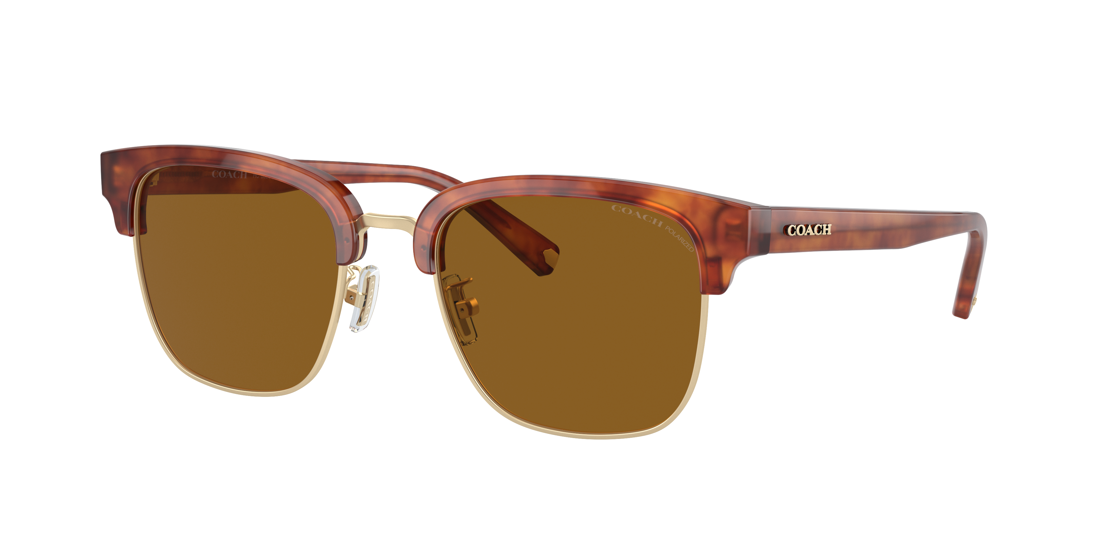 Coach Man Sunglass C6194 -  Frame color: Caramel Tortoise/Light Gold, Lens color: Brown Solid Polarized