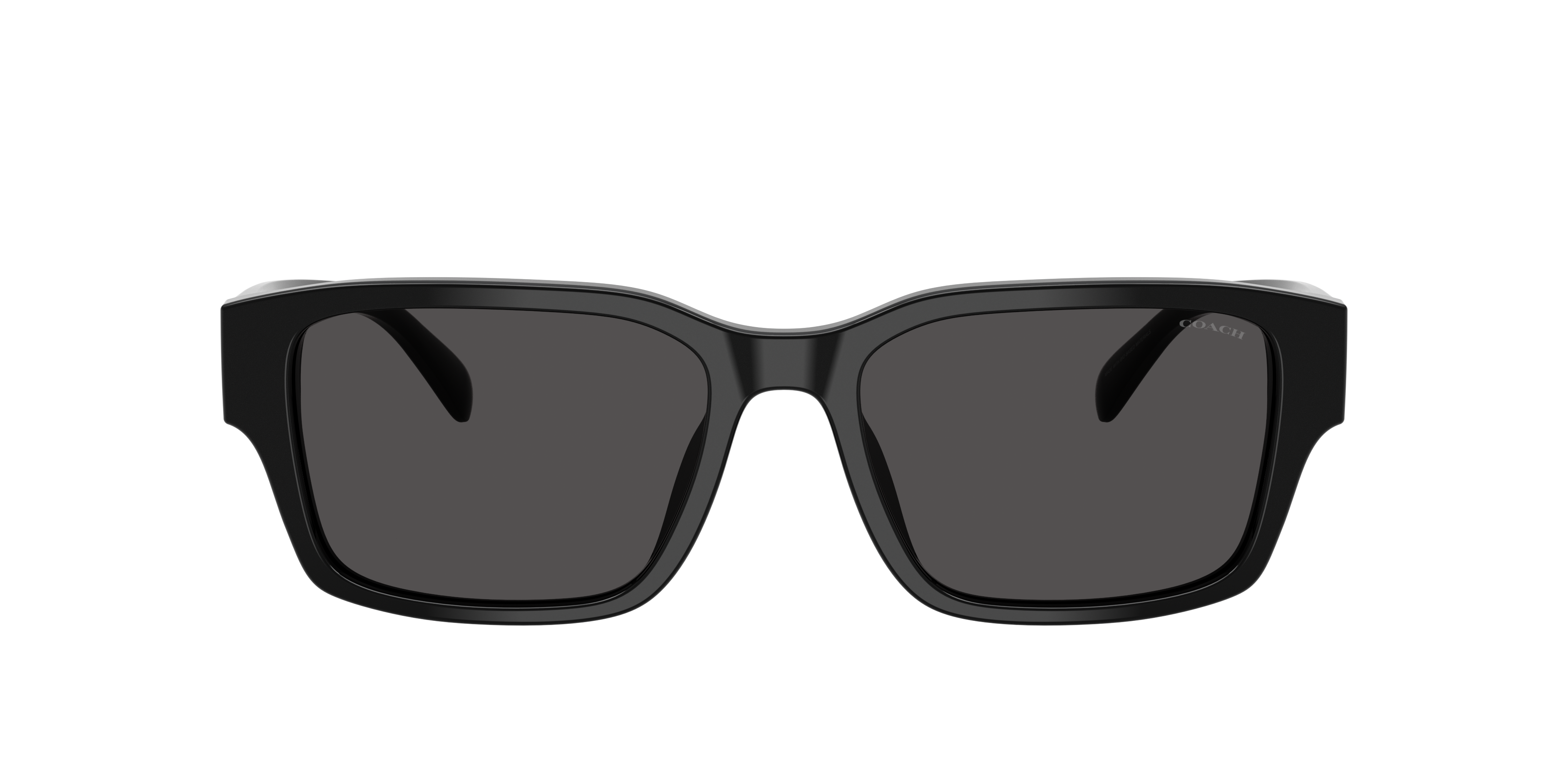 Coach CBY96 L (55 - 18) with Grey lenses and Black frame