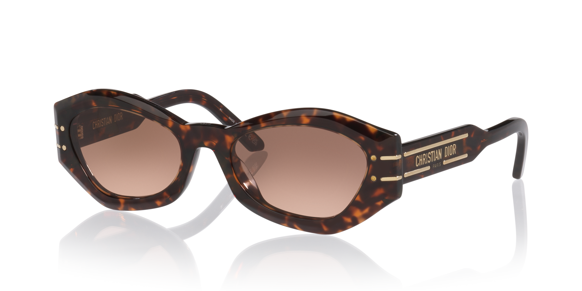 DIOR Diorsignature B1U Cd40139U M (55 - 20) with Brown lenses and