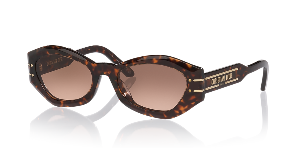 DIOR Diorsignature B1U Cd40139U M (55 - 20) with Brown lenses and