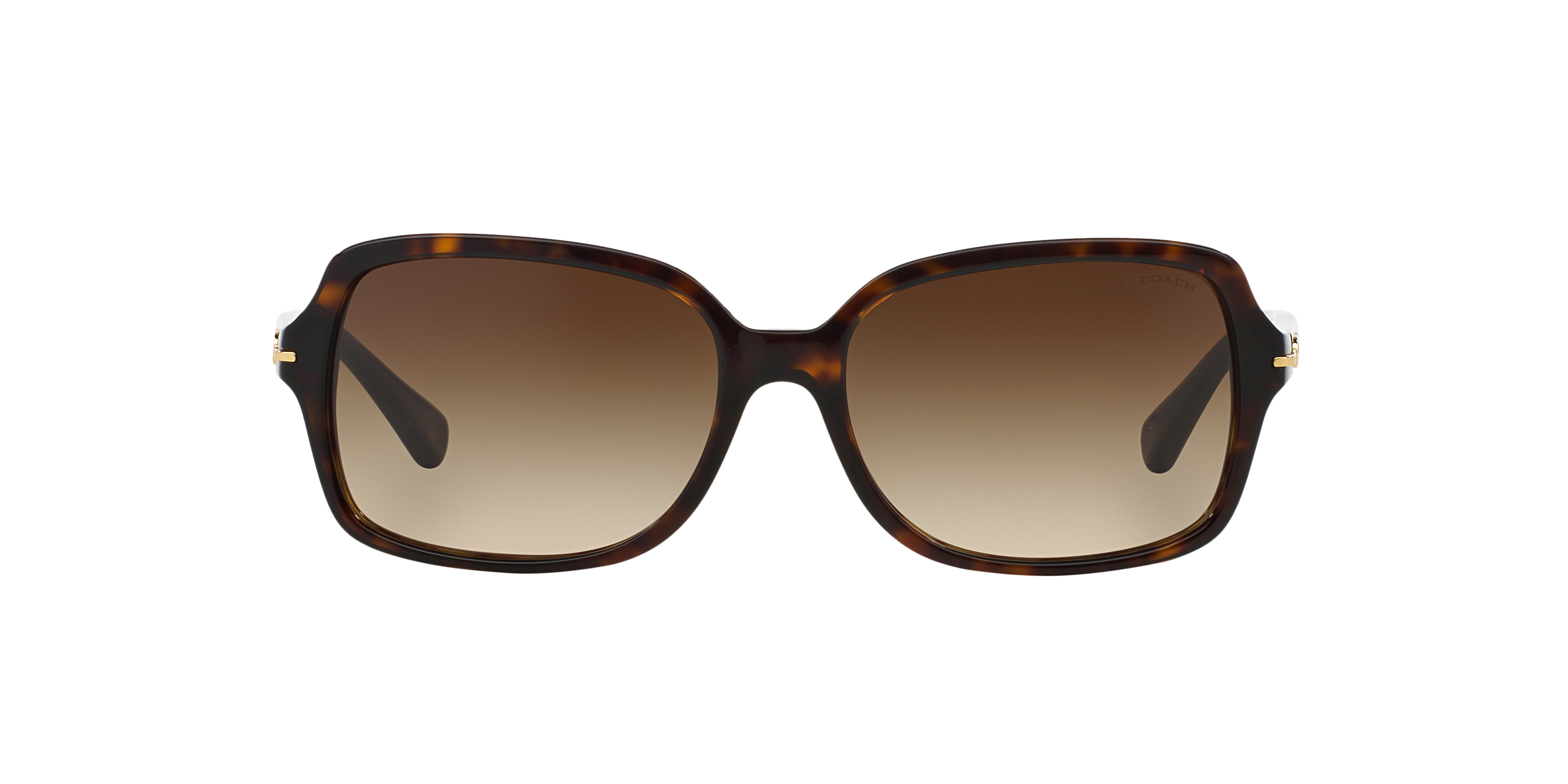 Coach L087 Blair S (56 - 16) with Brown lenses and Tortoise frame