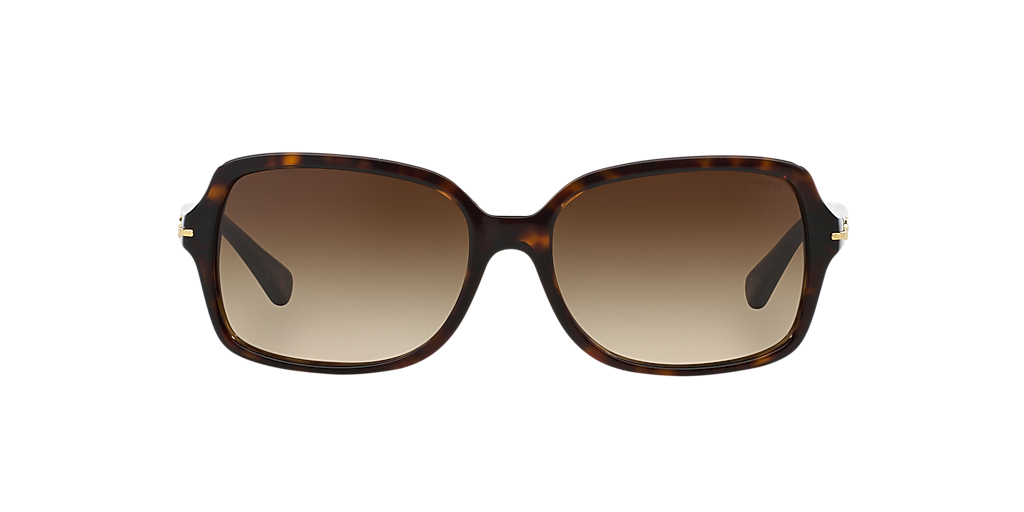 Coach L087 Blair S (56 - 16) with Brown lenses and Tortoise frame