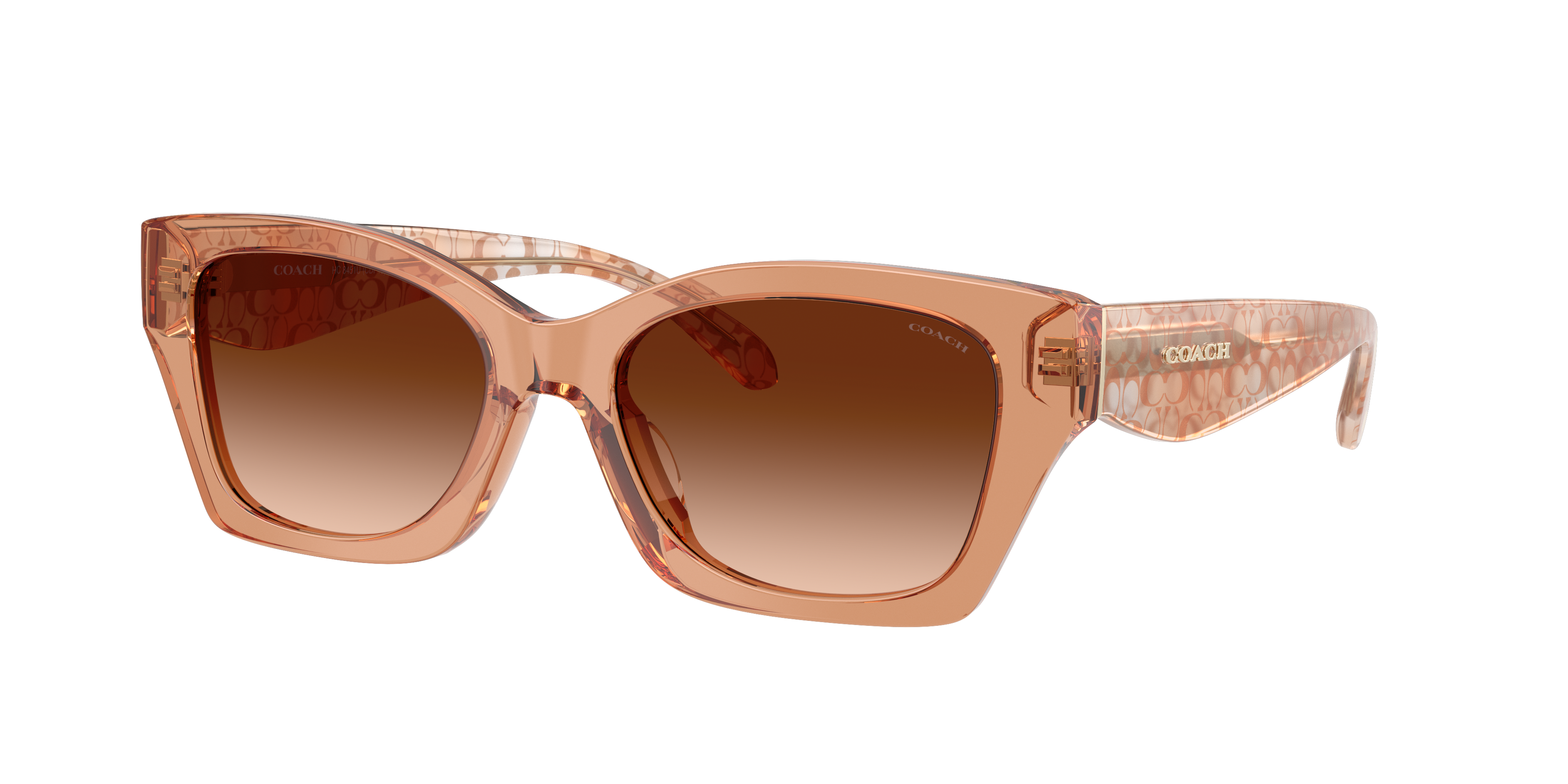 Coach Woman Sunglass CDP49 -  Frame color: Transparent Brown, Lens color: Brown Gradient