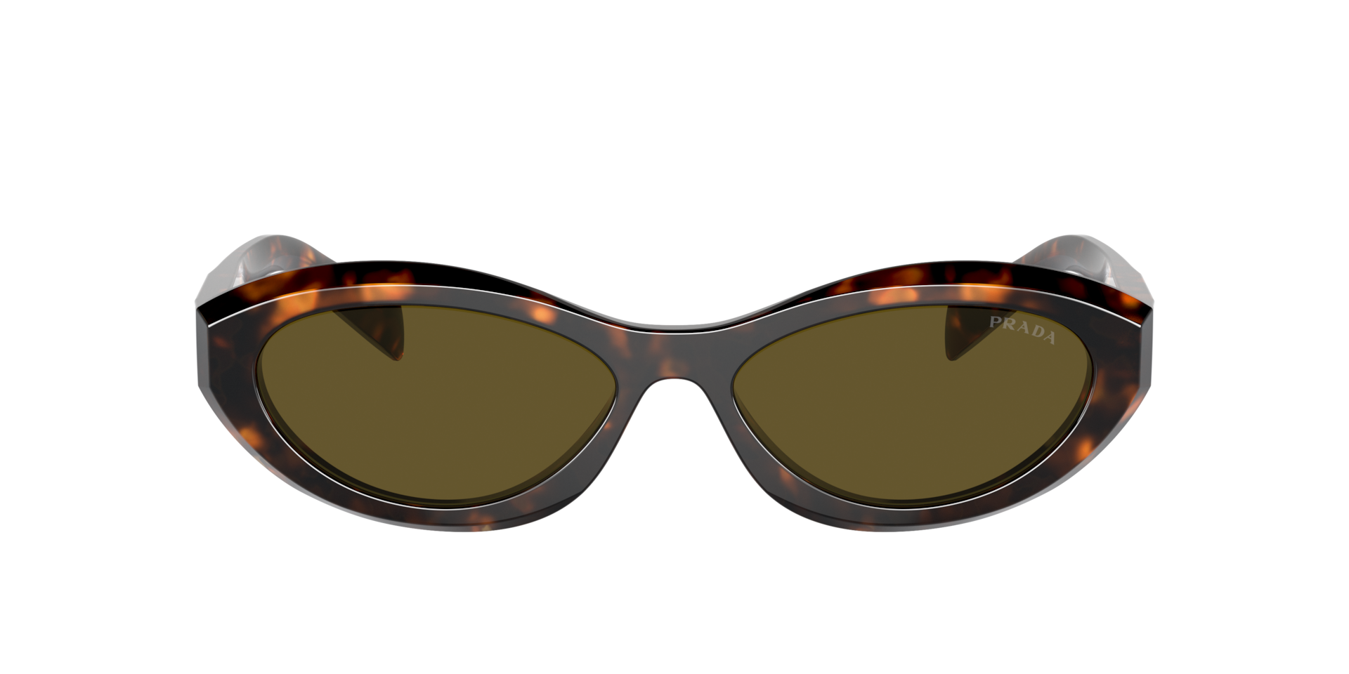 Prada PR 26ZSF L (56 - 15) with Brown lenses and Green frame