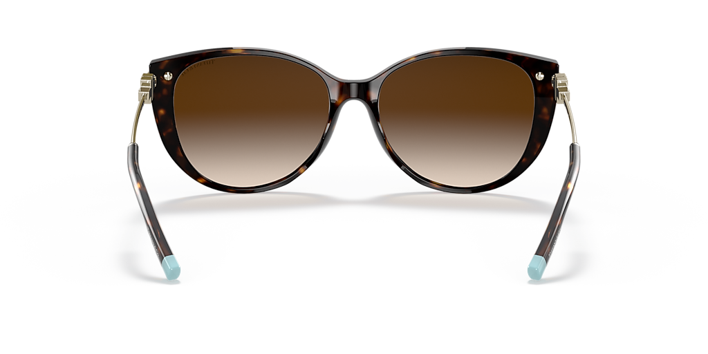 Tiffany & Co. TF4178F XL (57 - 16) with Brown lenses and Tortoise