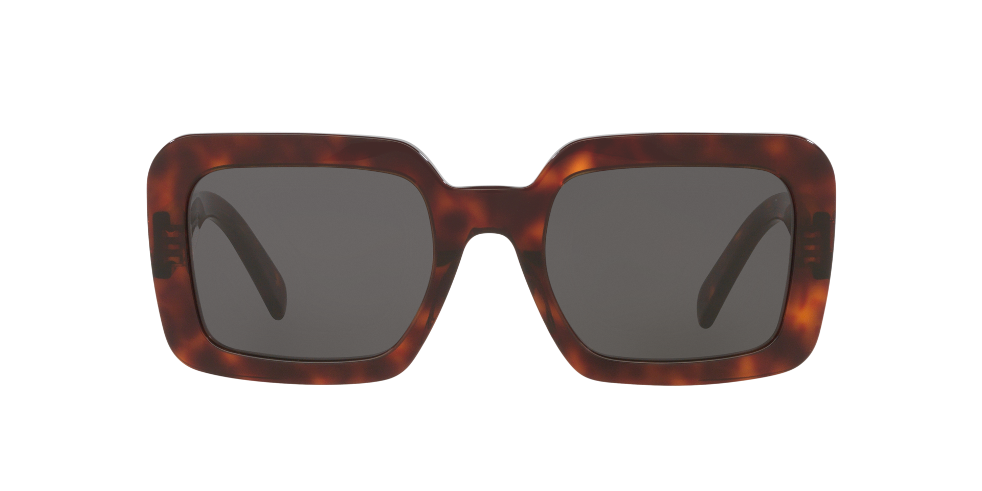 Celine CL40304U L (56 - 23) with Grey lenses and Tortoise  display picture 1