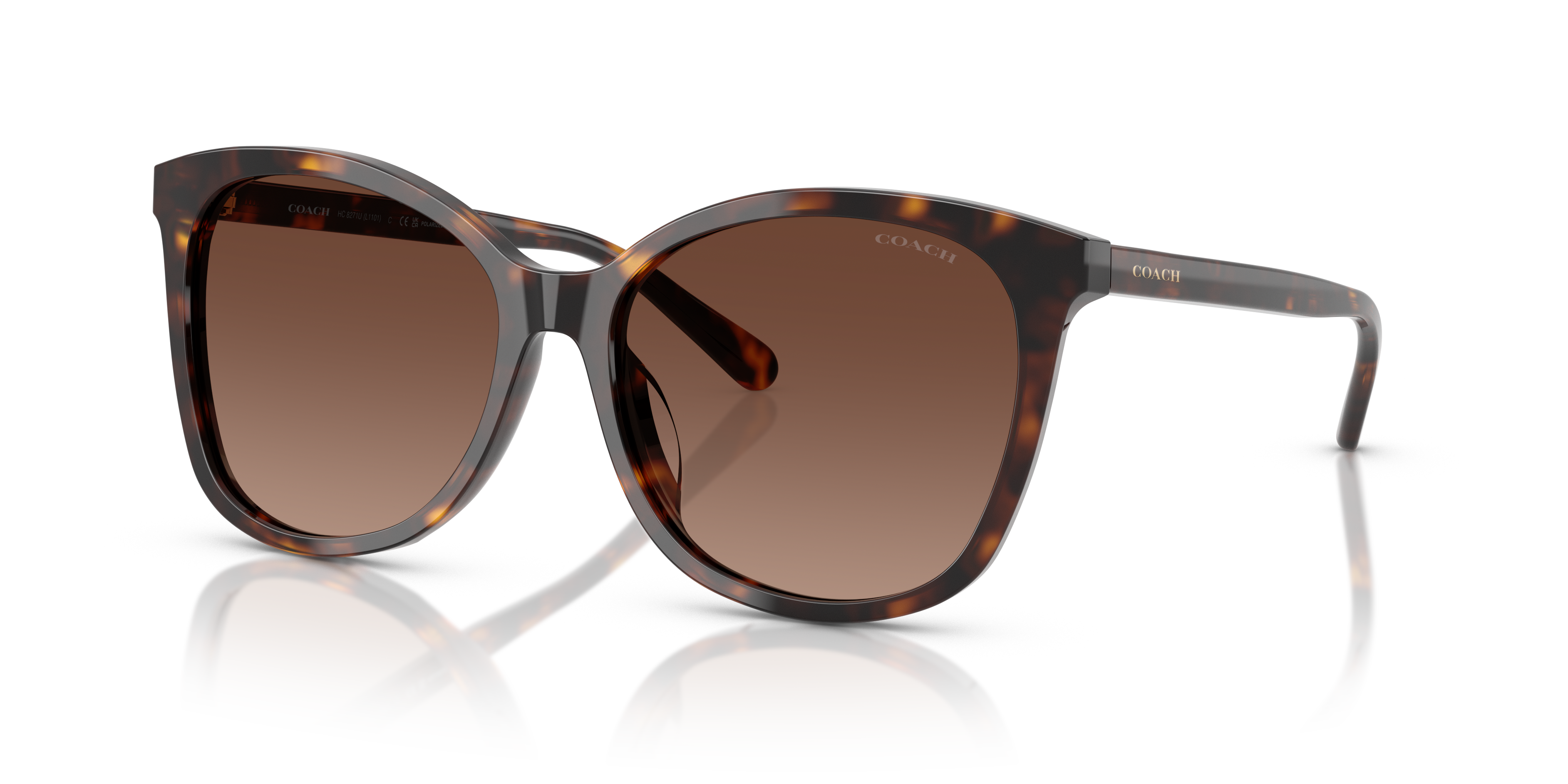 Coach L1101 M (57 - 16) with Brown lenses and Tortoise frame
