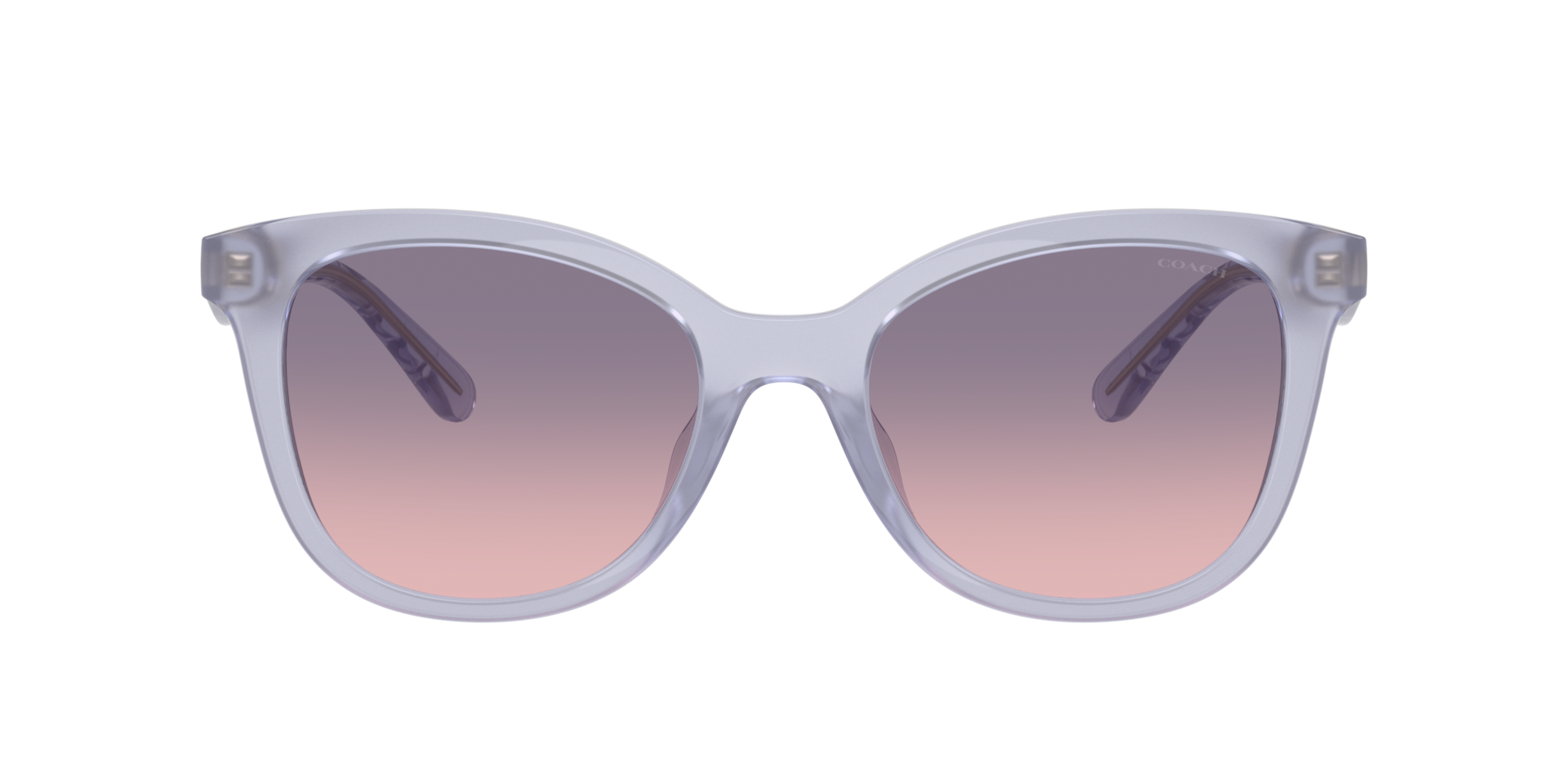 Coach CAD25 XL (55 - 20) with Violet lenses and Violet frame