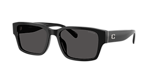 Coach CCA00 L (54 - 19) with Green lenses and Brown frame