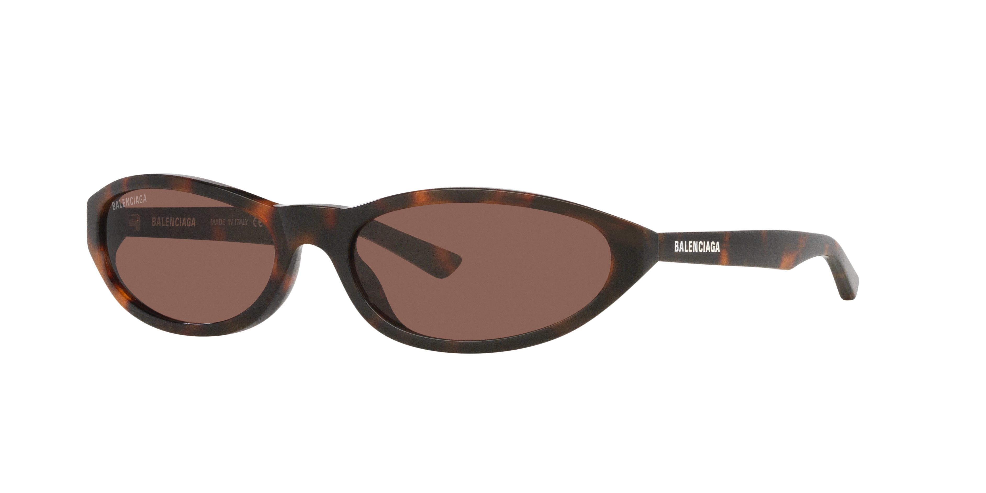 Balenciaga BB0007S XL (59 - 18) with Brown lenses and Tortoise