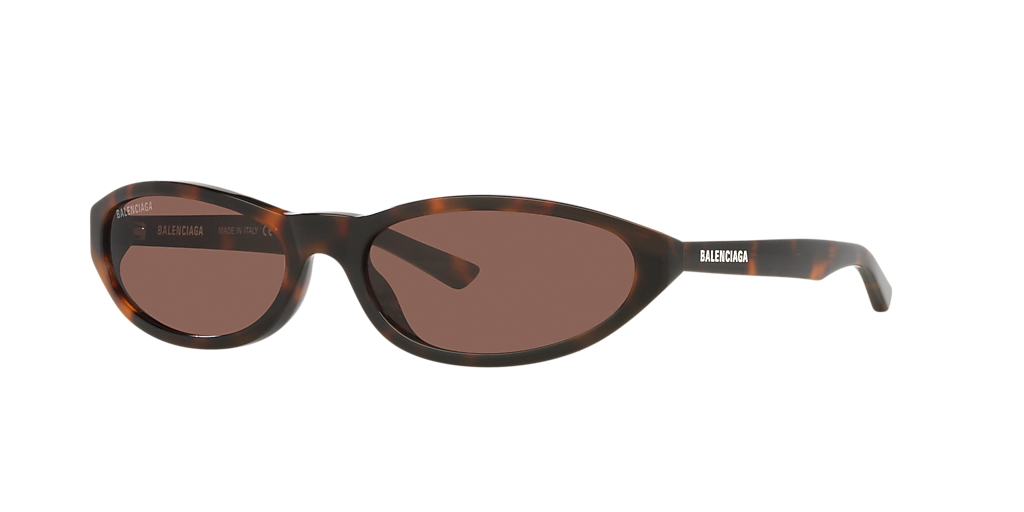 Balenciaga BB0007S XL (59 - 18) with Brown lenses and Tortoise