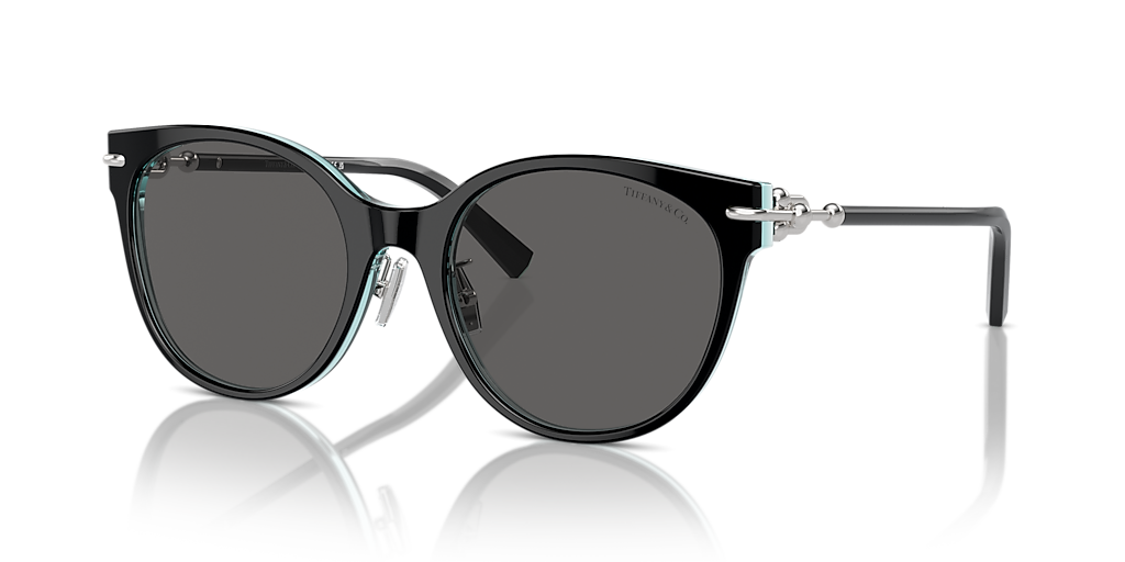 Tiffany & Co. サングラス TF4223-D HardWear Tiffany & Co. TF4223D XL (54 - 20) with Grey lenses and Black