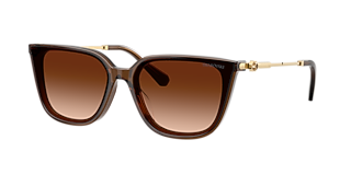 Swarovski SK6054D XXL (63 - 15) with Brown lenses and Brown frame