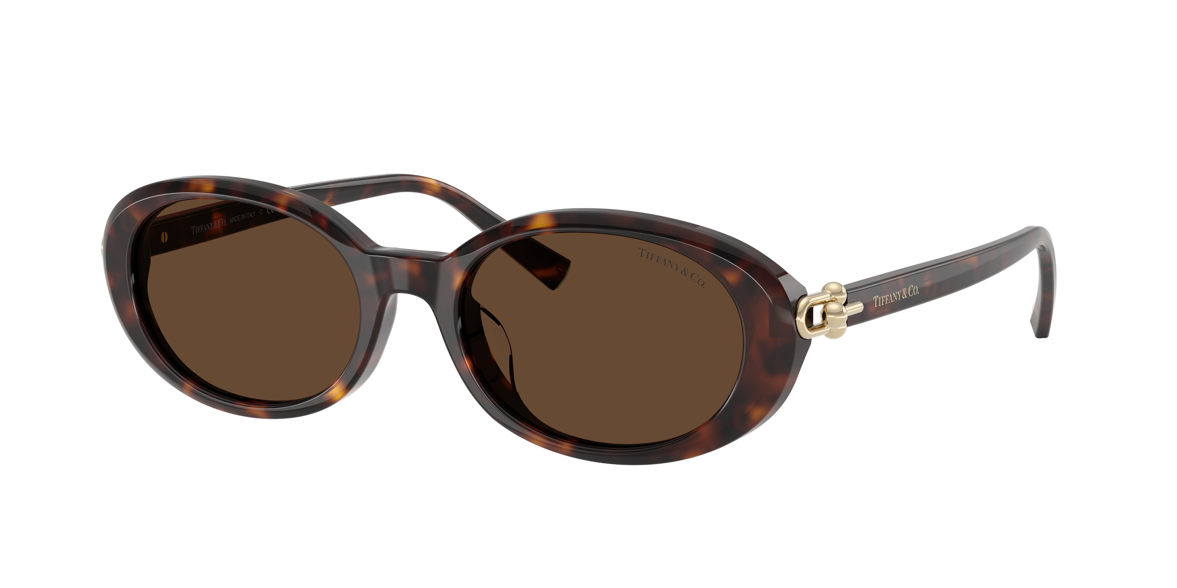 Tiffany & Co. TF4242D XXL (54 - 19) with Brown lenses and Tortoise