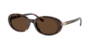 Tiffany & Co. TF4223D XL (54 - 20) with Brown lenses and Tortoise