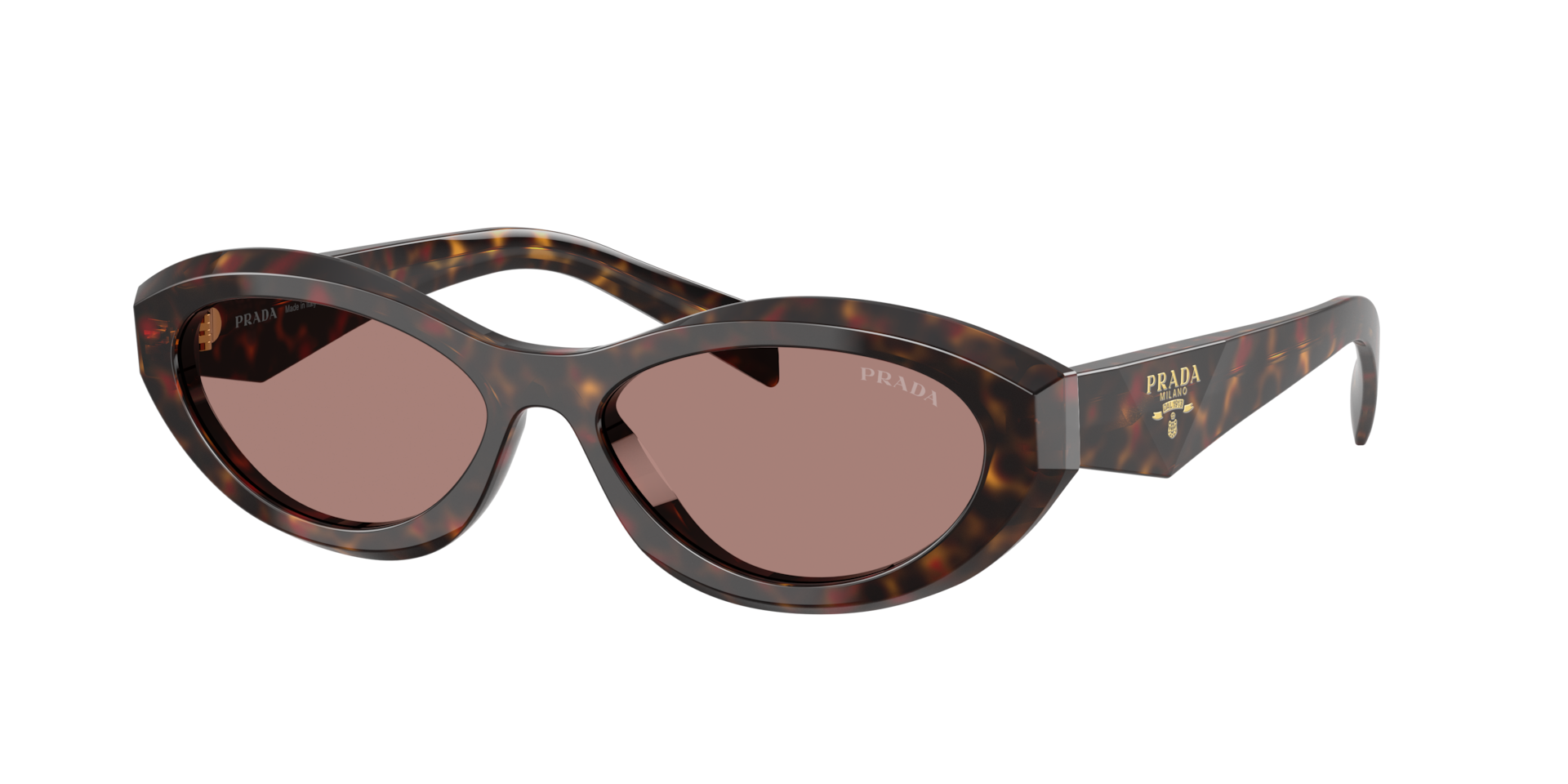 Prada PR 26ZS M (55 - 16) with Brown lenses and Tortoise frame