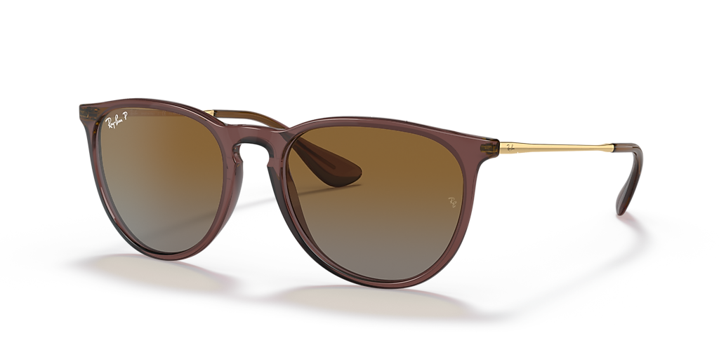 Ray-Ban Erika Classic M (54 - 18) with Brown lenses and Brown