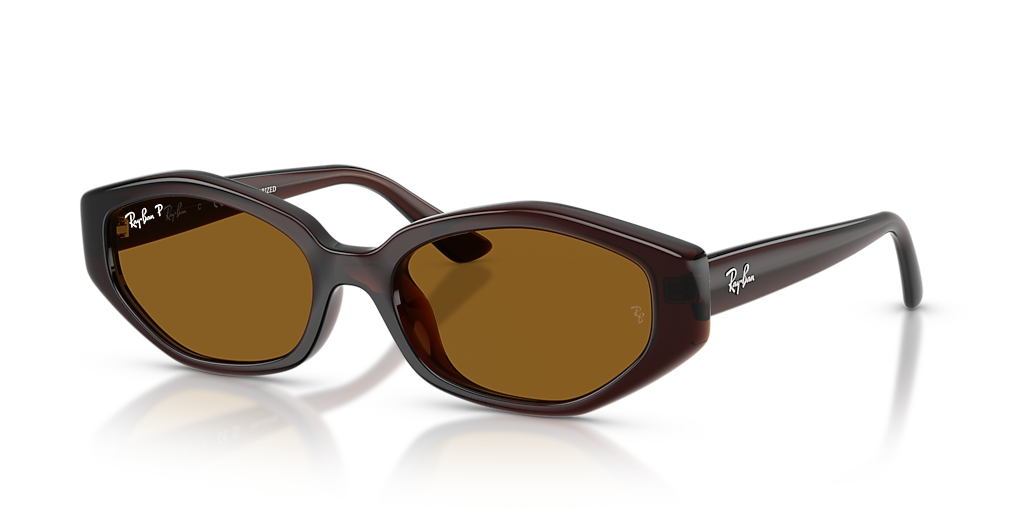 Ray-Ban Polarized Tortoiseshell Brown Lens Round Sunglasses Ray-Ban large round sunglasses in tortoiseshell | ASOS main image 4