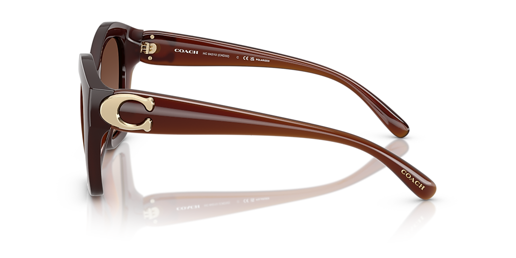 Coach CAD31 L (54 - 22) with Brown lenses and Brown frame