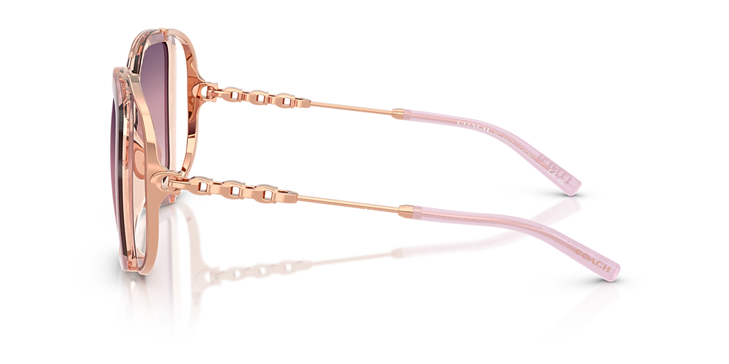 Coach CAD80 XL (56 - 16) with Violet lenses and Violet frame