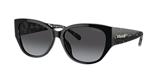 Coach CW419 XL (58 - 16) with Grey lenses and Black frame