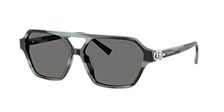 Tiffany & Co. TF4201 L (50 - 24) with Grey lenses and Black frame