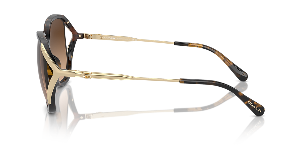 Coach CR620 XL (56 - 16) with Brown lenses and Tortoise frame