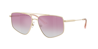 Jimmy Choo JC4003HB S (53 - 18) with Brown lenses and Gold frame