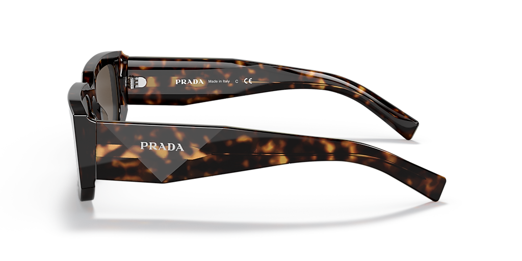Prada PR 06YS M (53 - 21) with Brown lenses and Tortoise frame