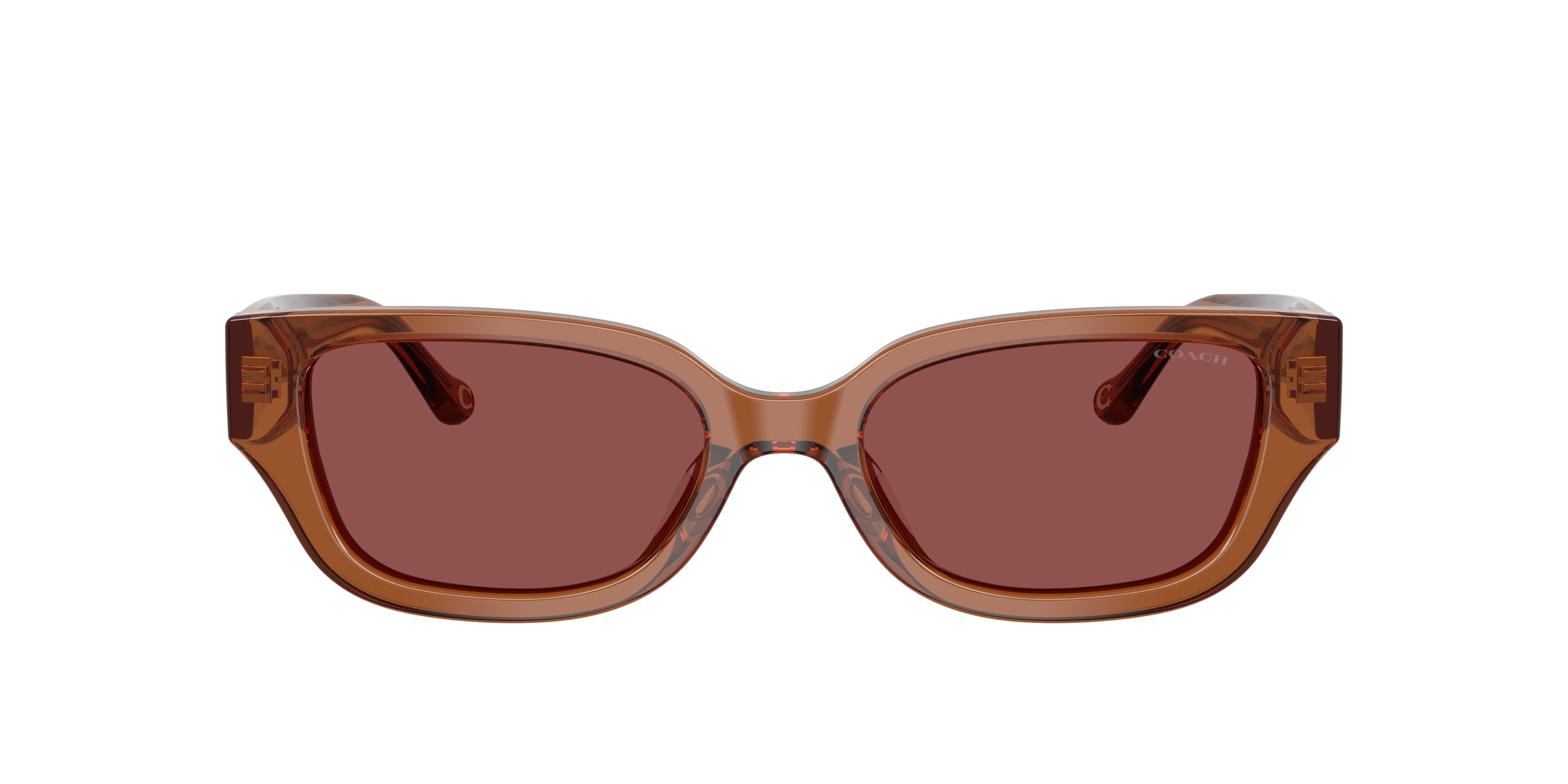 Coach CBZ52 M (53 - 19) with Violet lenses and Brown frame